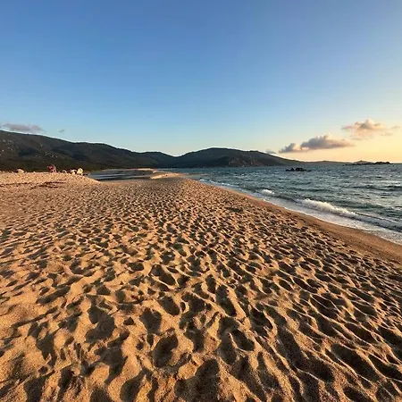 5 Min De La - T4 Avec Piscine & Tennis
